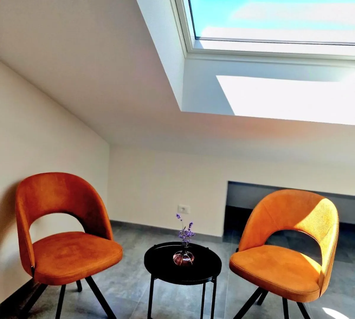 Apartments Cerin-Rovinj  Rovinj